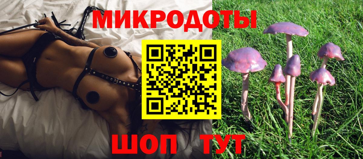 Воскресенск  наркотики  Псилоцибиновые грибы Psilocybe  Вход с VPN  Псилоцибиновые грибы прущие грибы 